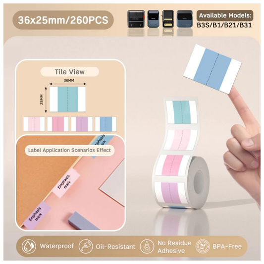 Rainbow Candy Index Labels - 36x25mm (260 pcs) - B Series